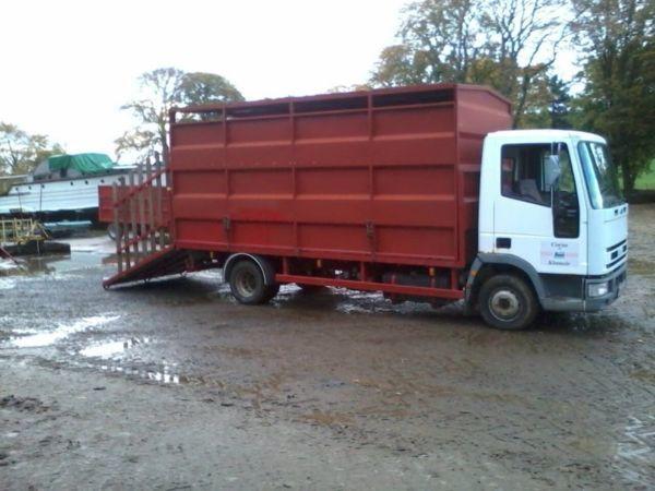 Iveco cargo cattle lorry