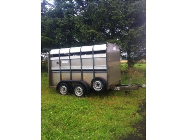 Ifor Williams 10x5 livestock trailer