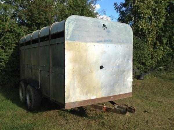 Ifor williams livestock trailer