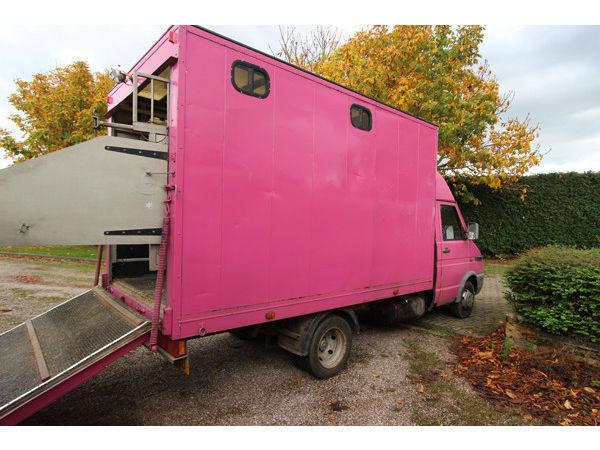 3.5 Tonne Horsebox - Iveco Daily - PINK!!!