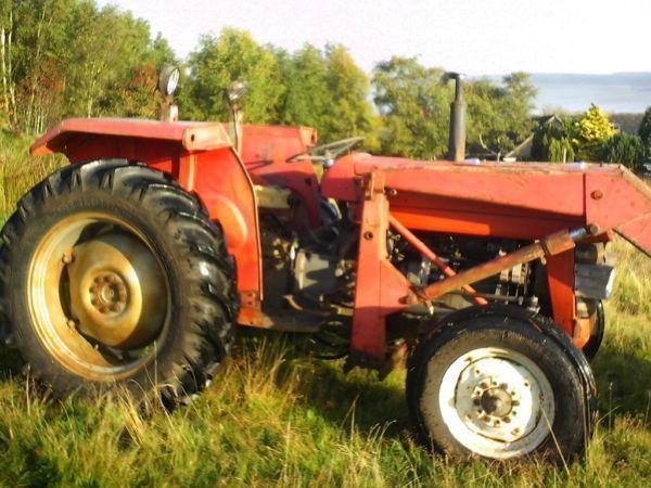 MF 135 TRACTOR AND LOADER
